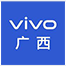 vivo智能手機(jī)公司