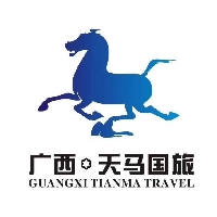 廣西天馬國際旅行社
