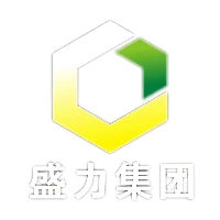 廣西盛力科技集團有限公司