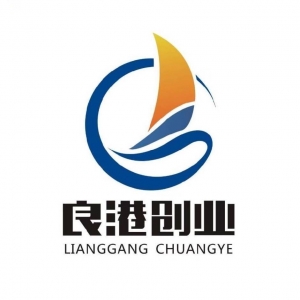廣西良港創(chuàng)業(yè)服務(wù)有限公司